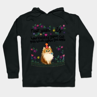 New year Is Excited Your Cat Get When You Get Home Hoodie